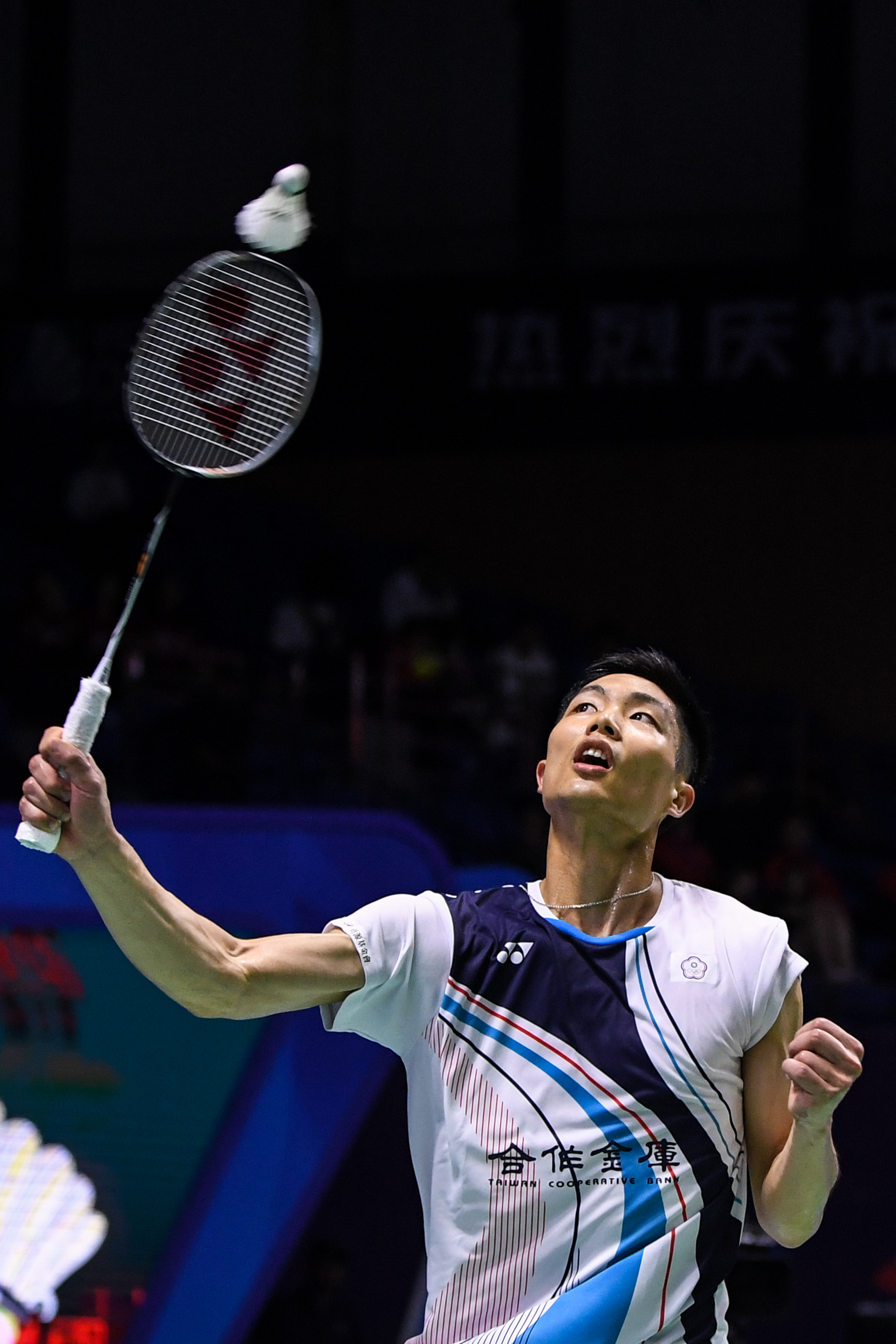 也是中国羽 也是中国羽